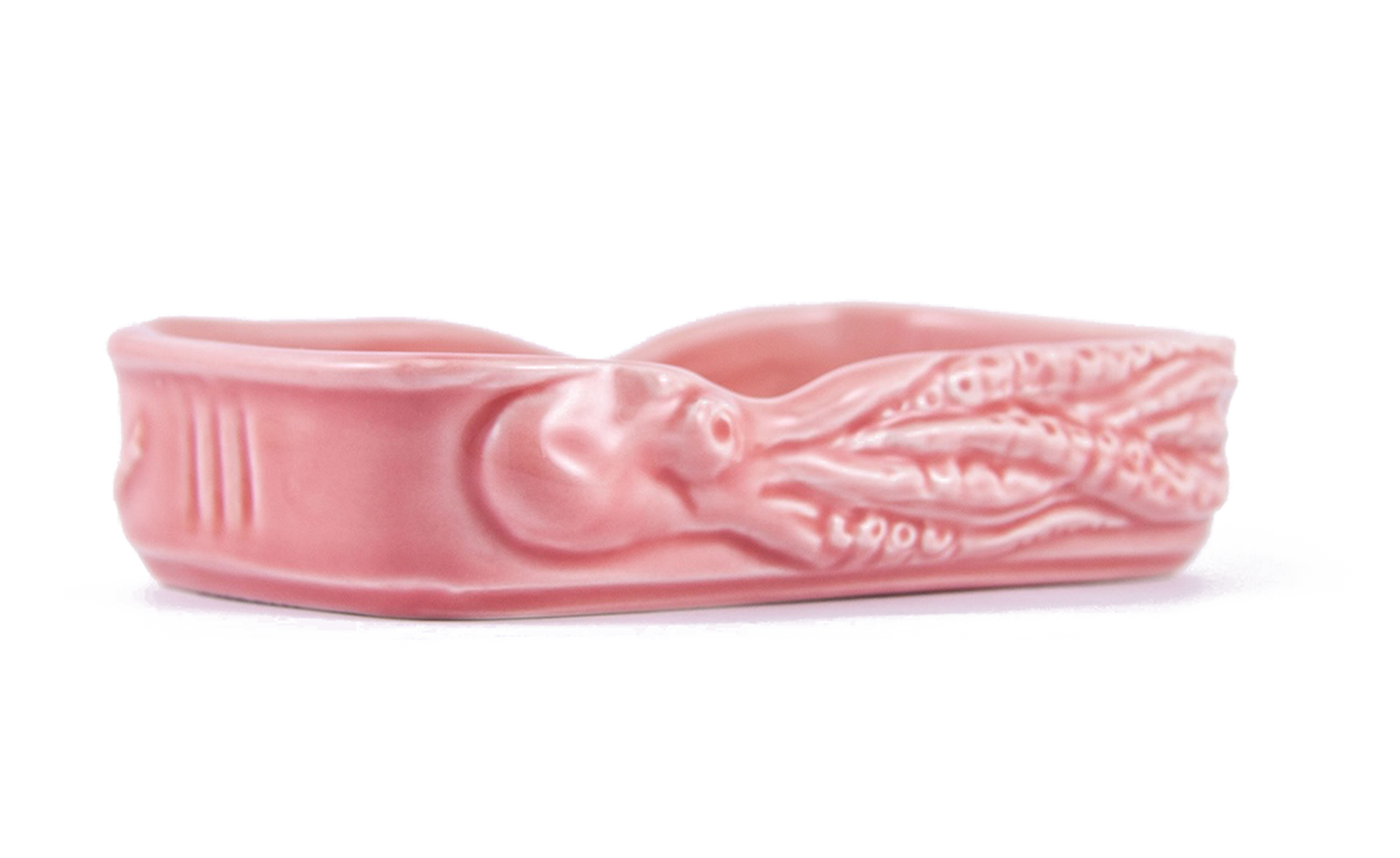 Canned With Soul - Polvo Salmão