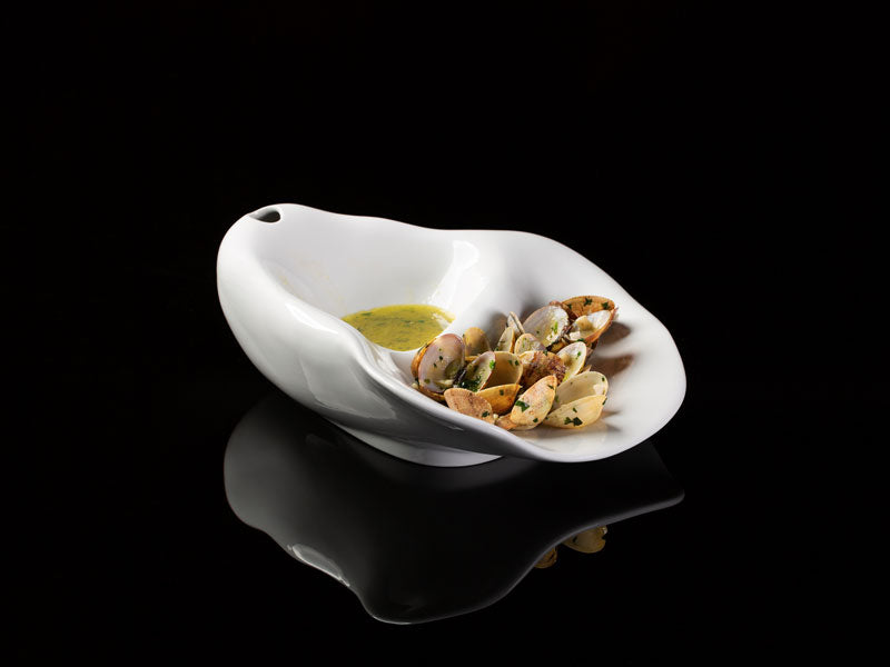 Mollusca do Atlântico