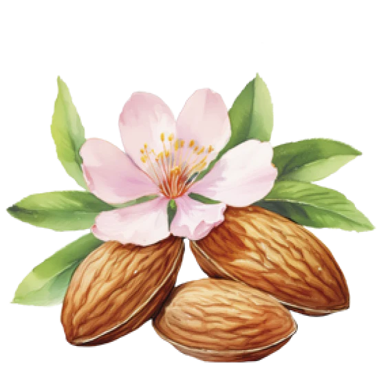 Tostas com Amêndoa Lady Joseph