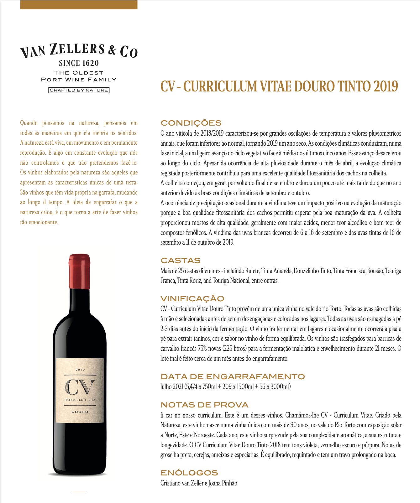 Vinho Tinto Curriculum Vitae