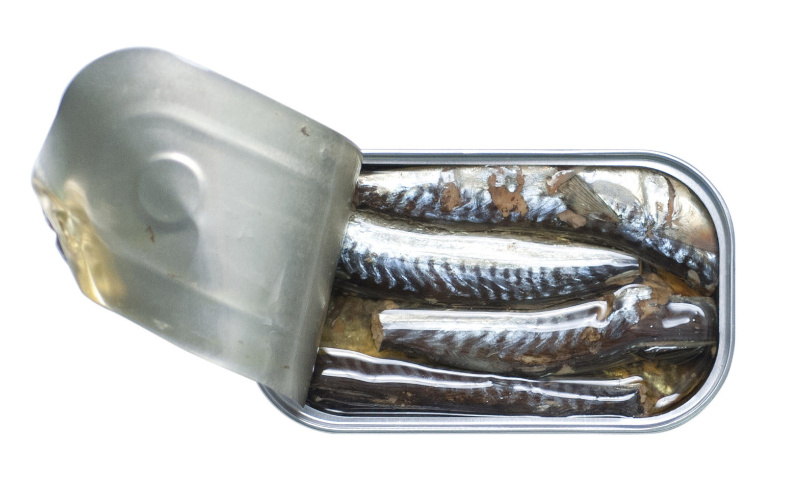 Pack 12 Conservas José Gourmet