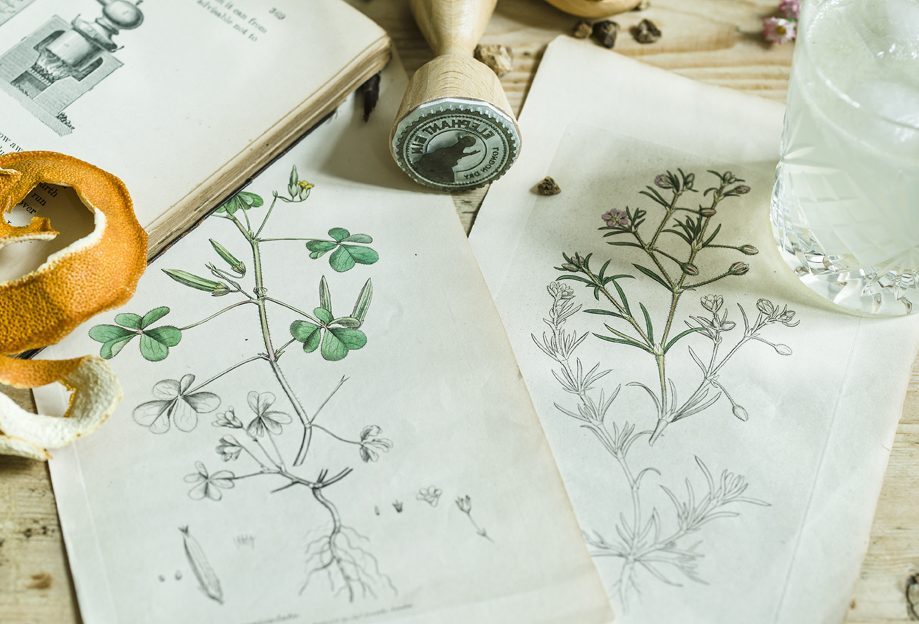 Elephant Gin Strength