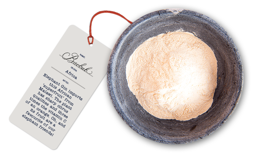 Elephant Gin Botanicals