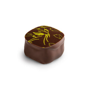 Coffret de Bombons Chocolate de Leite e Negro Nº28 Michel Cluizel