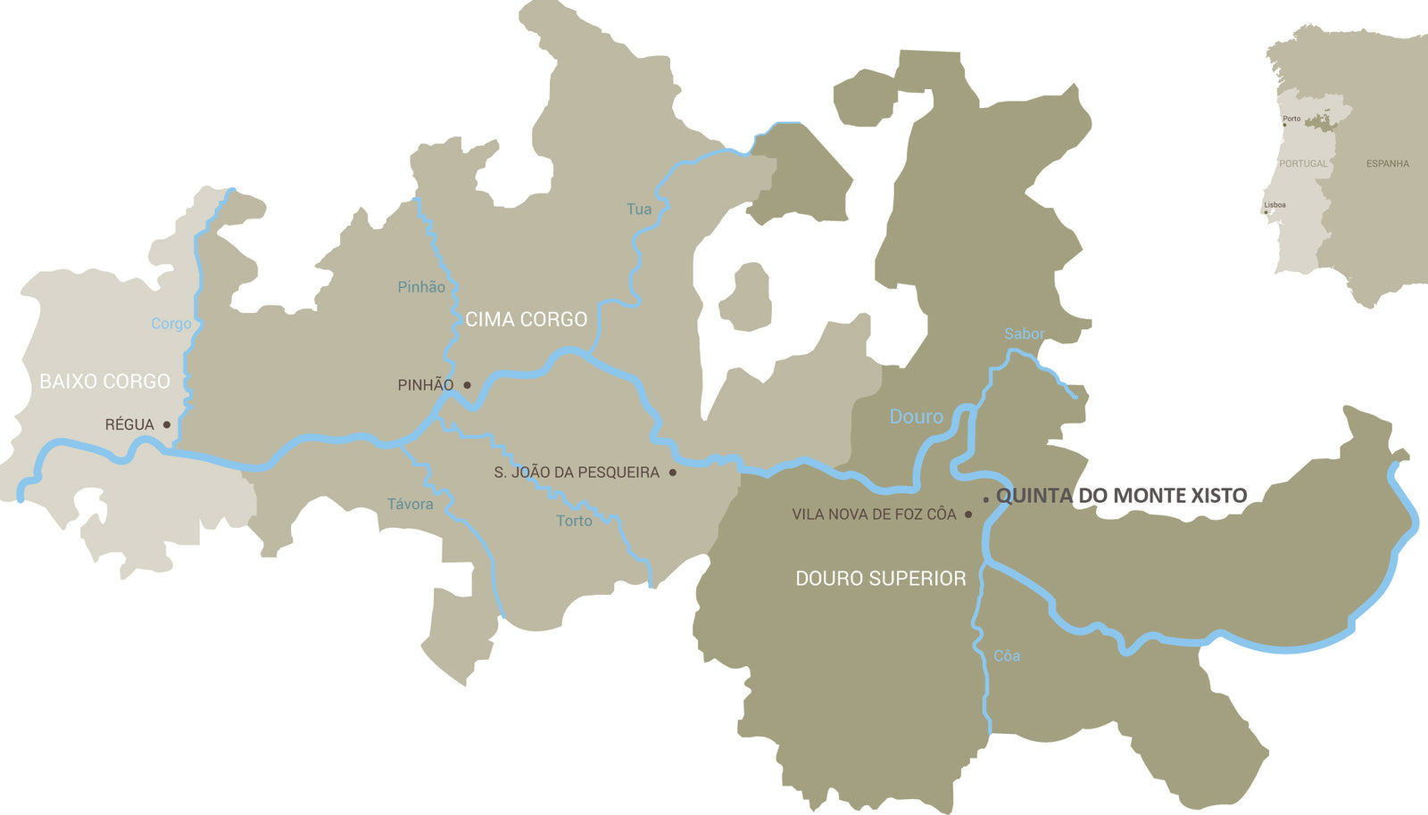 Vinho Tinto Quinta do Monte Xisto