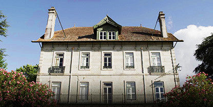 Vinho Tinto DOC Villa Oliveira . Casa da Passarella . Dão