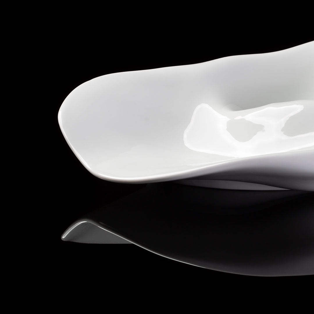 Mollusca do Atlântico