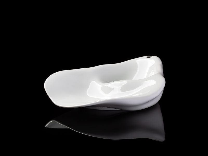 Mollusca do Atlântico