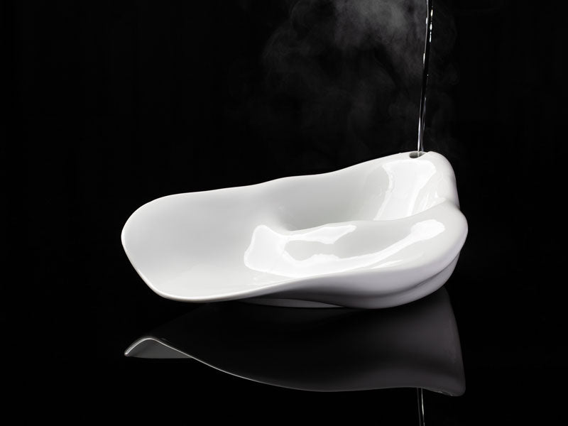 Mollusca do Atlântico