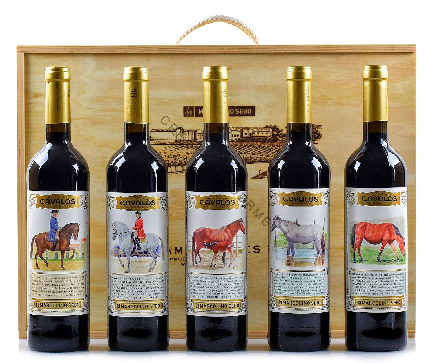 Conjunto de Vinhos "Colecção de Cavalos Portugueses´ Marcolino Sebo