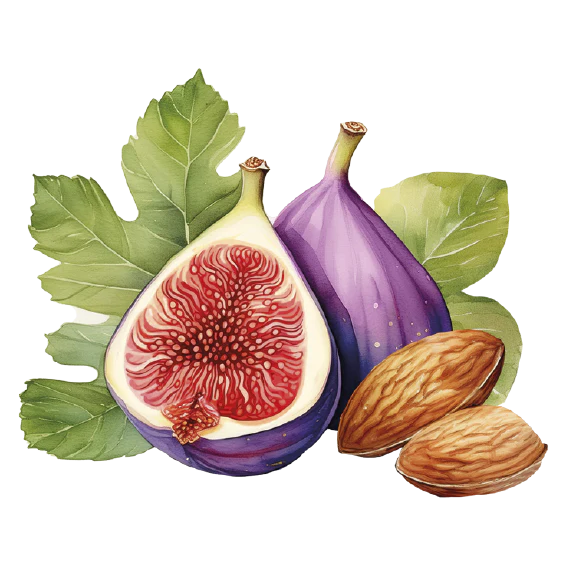 Pão de Figo com Amêndoas Lady Joseph