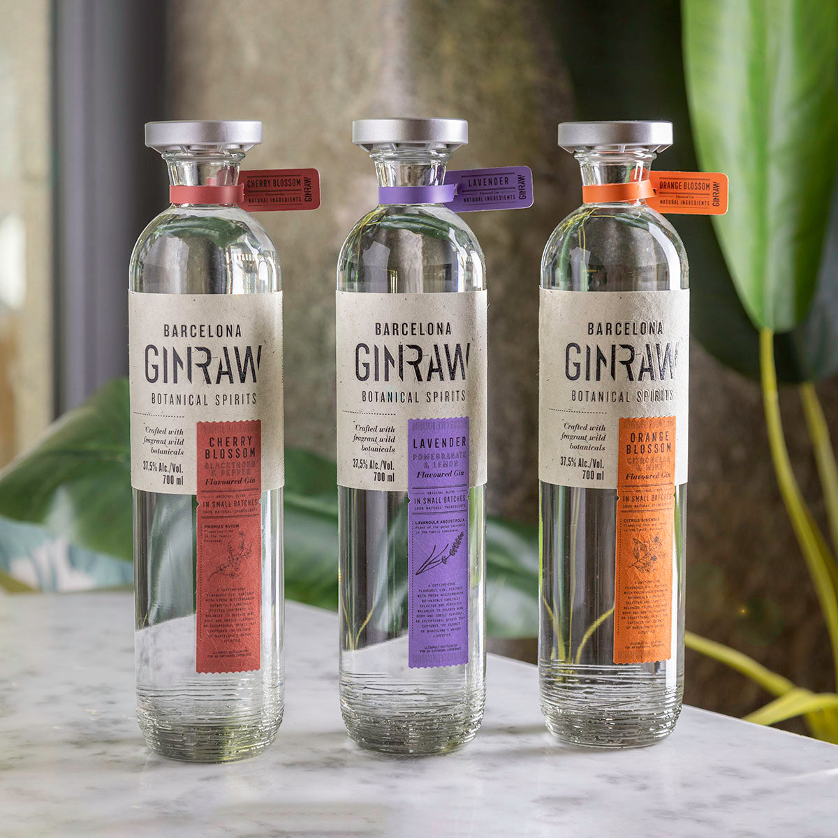 GINRAW Flor de Cerejeira