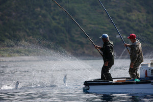 Filete de Atum com Pimenta dos Açores Santa Catarina