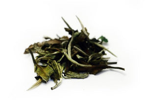 Chá Branco Yue Guang Bai