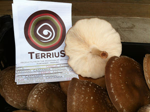 Chutney de Cogumelos Shitake