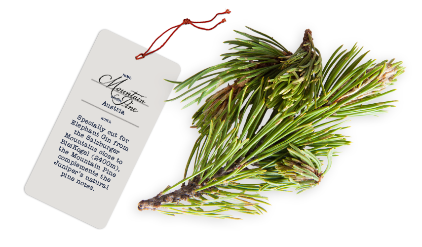 Elephant Gin Botanicals