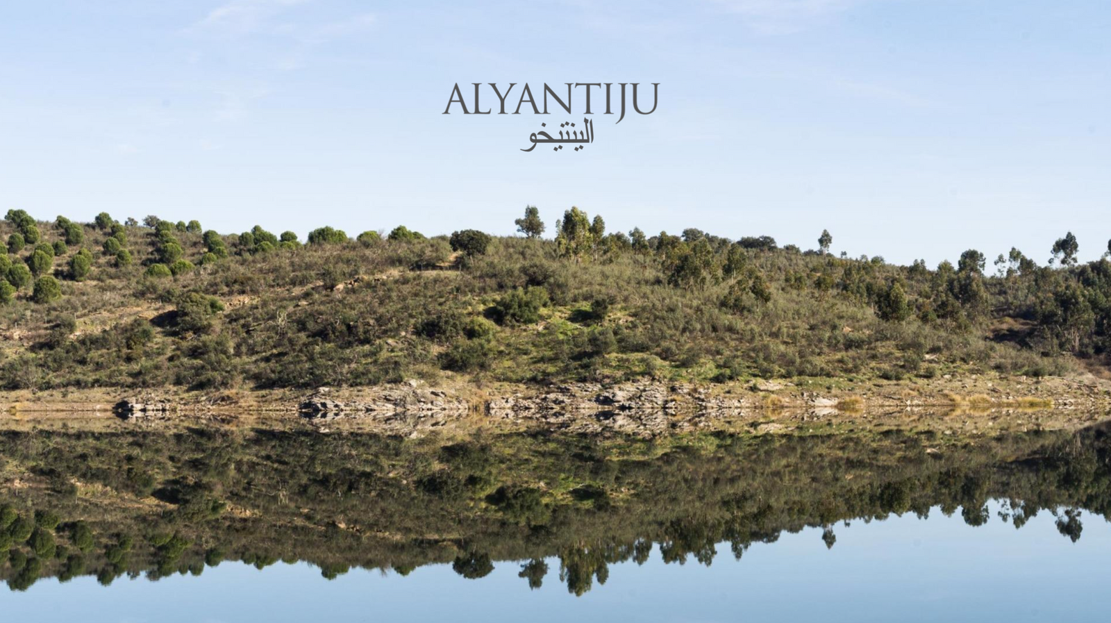 Mel de Rosmaninho Selvagem da Herdade Aldeia de Cima