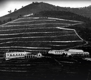 São Luiz Douro Winemaker's Collection Folgazão & Rabigato . Pack 3 Garrafas