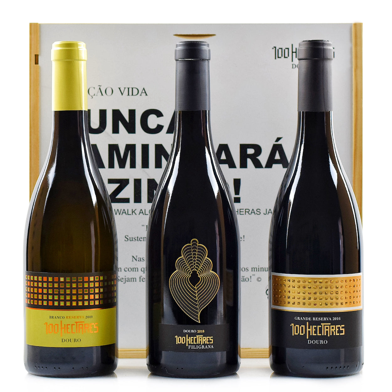 Conjunto Vinhos 100 Hectares - Coleção Vida Nunca Caminharás Sozinho!