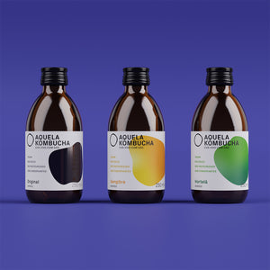 Pack Kombucha Clássicos