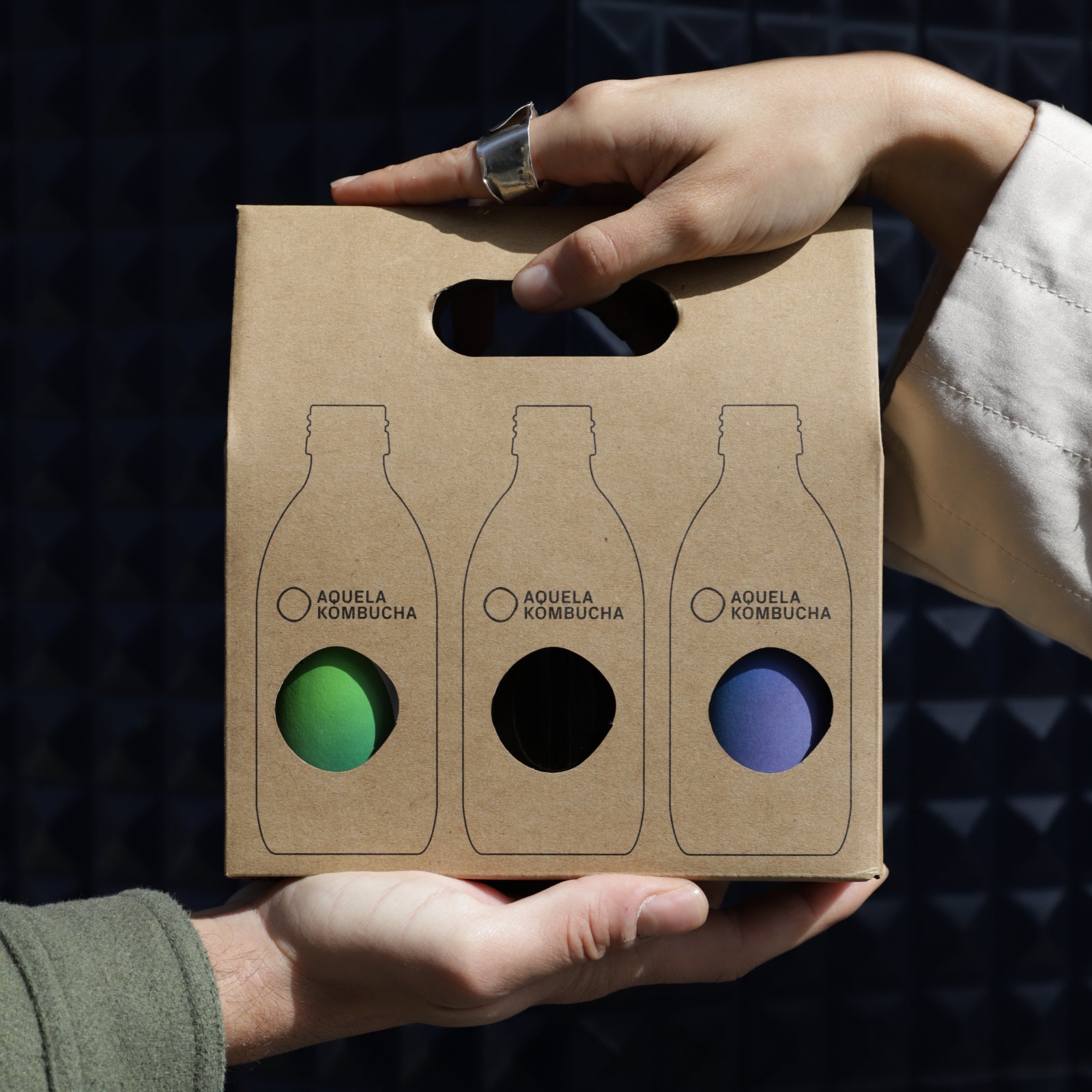 Pack Kombucha Sabores
