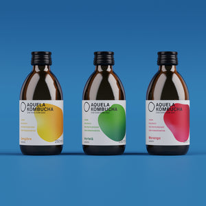 Pack Kombucha Sabores