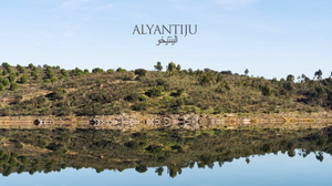 Vinho Tinto Alyantiju . Herdade Aldeia de Cima