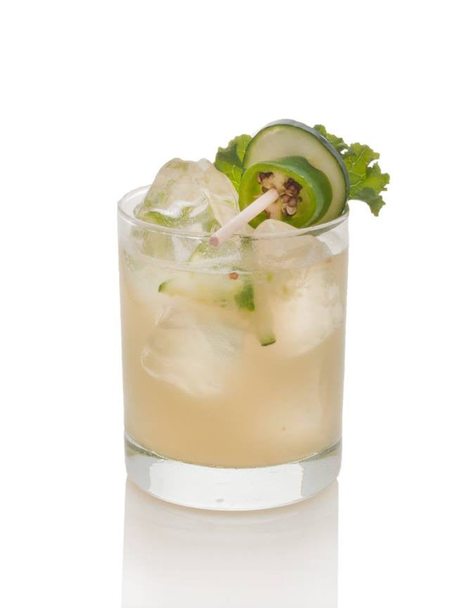 Gin Bulldog