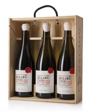 Vinho Branco AdegaMãe Terroir