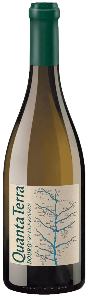 Vinho Branco Grande Reserva Quanta Terra