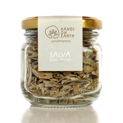 Salva